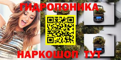 прущие крисы Кунгур