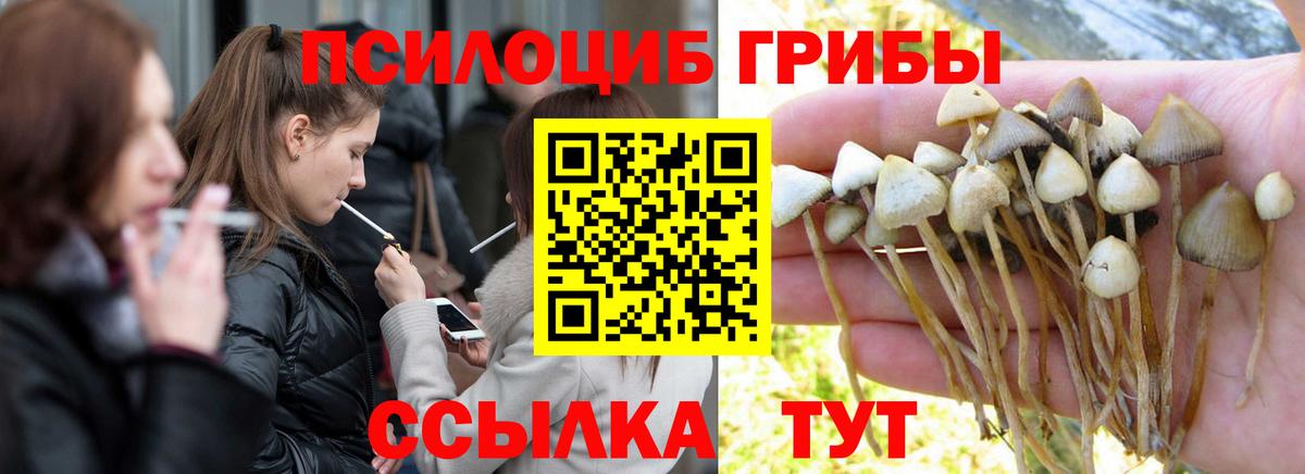 Галлюциногенные грибы GOLDEN TEACHER  Псилоцибиновые грибы мицелий  Южно-Сахалинск  Вход с VPN 